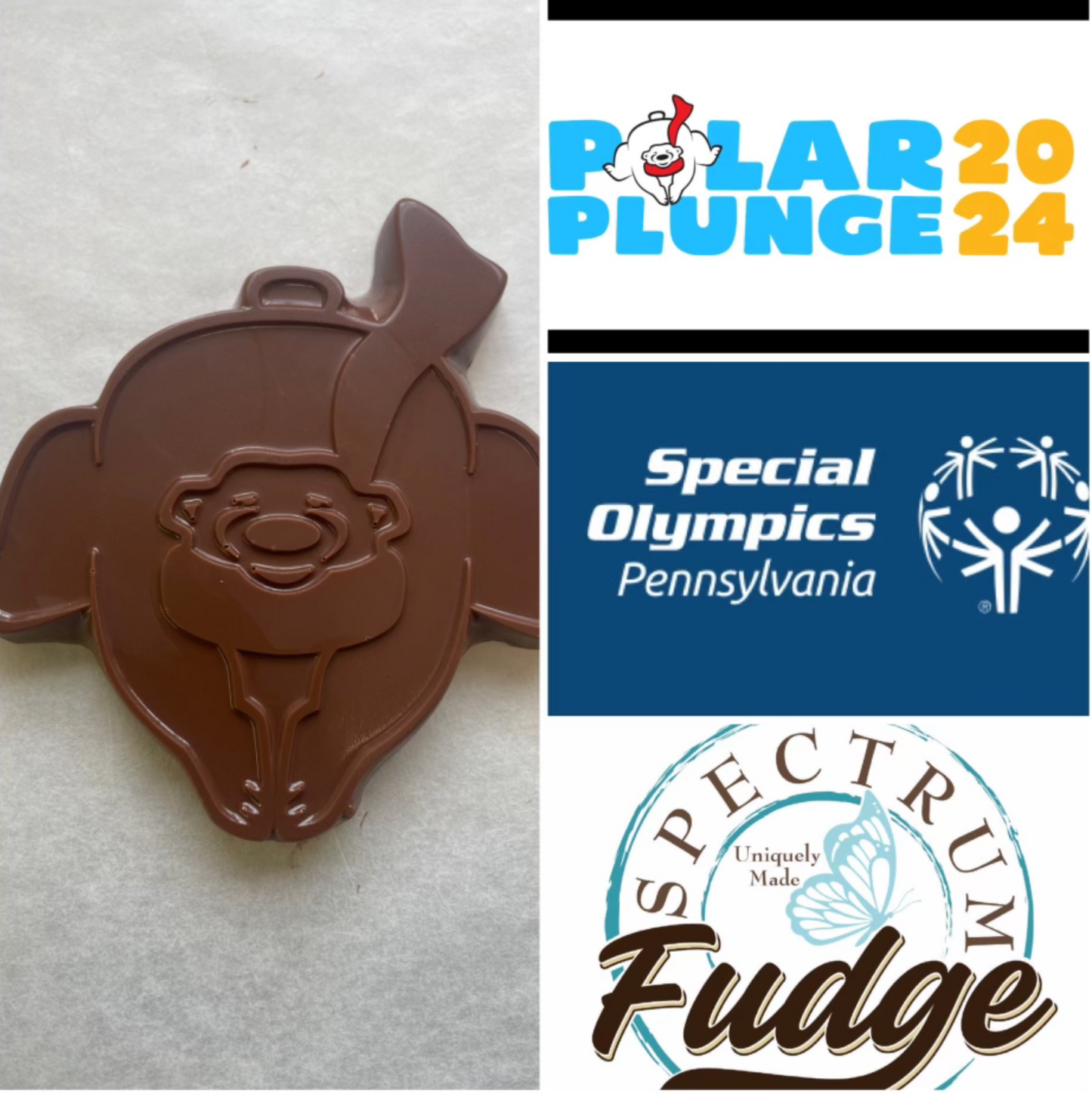 Special Olympics® Polar Plunge Chocolate Polar Bear